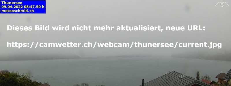 Webcam Thunersee Richtung Ost